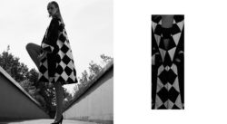 PHOTOSHOOT ELVIS PARIS
